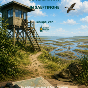 Printbaar escapespel - De vermissing in Saeftinghe